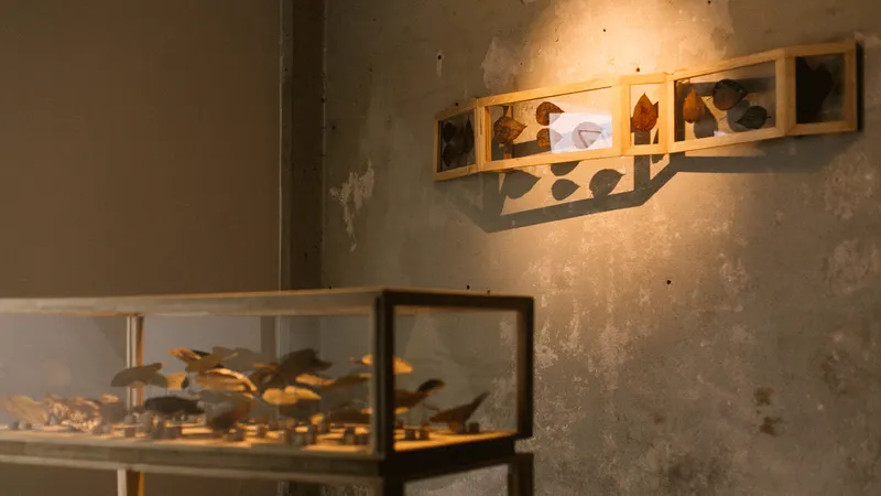 Thailand Biennale: การหายไปที่คงอยู่ ของใบไม้ (ยาสูบ) ที่หายไป