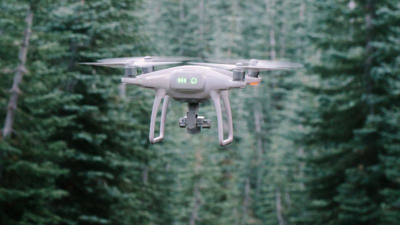 Digital Forest Ranger: เจ้าหน้าที่พิทักษ์ป่าดิจิทัล อาชีพแห่งโลกยุคใหม่ และการปกป้องป่าใหญ่ด้วย ‘เทคโนโลยี’